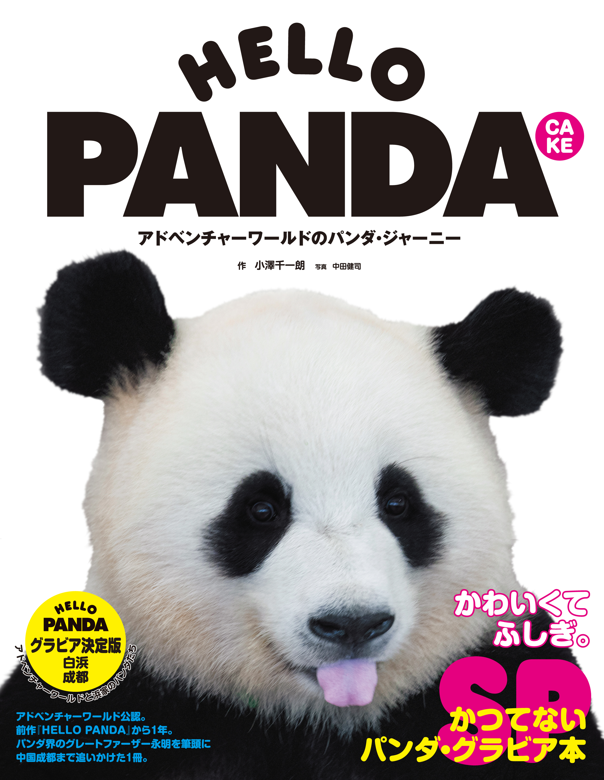 HELLO PANDA CAKE